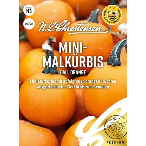 Dynia ozdobna Ball Orange - Nasiona. Ilość w opakowaniu: 1 opak - GradinaMax