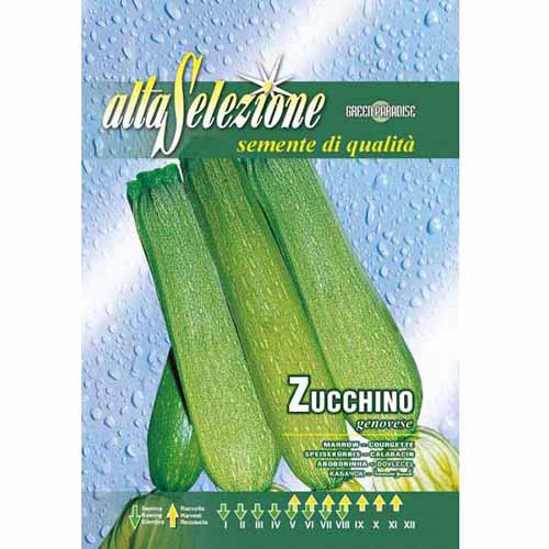 1 pac, Dovlecel zucchini Genovese - Semințe: Mod de ambalare: 8 g