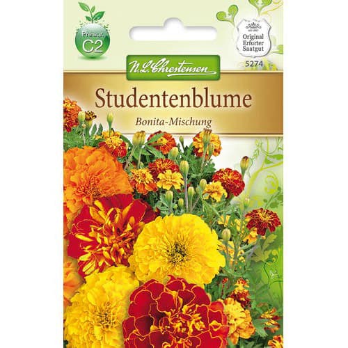 1 szt, Studentenblume Bonita Mischung - Samen: Ilość w opakowaniu: 1 Stück