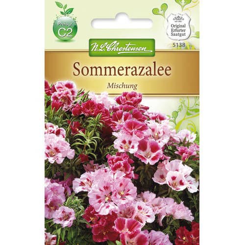 1 szt, Sommerazalee Mischung - Samen: Ilość w opakowaniu: 1 Stück