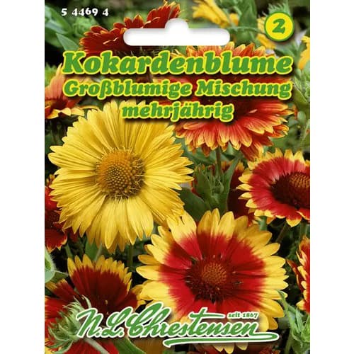 1 szt, Kokardenblume Mischung - Samen: Ilość w opakowaniu: 1 Stück