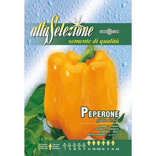 1 pac, Ardei gras Giallo d'Asti - Semințe: Mod de ambalare: 1.5 g