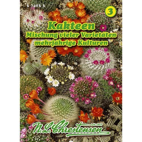 1 pac, Cactus, mix multicolor - Semințe: Mod de ambalare: 1 pac