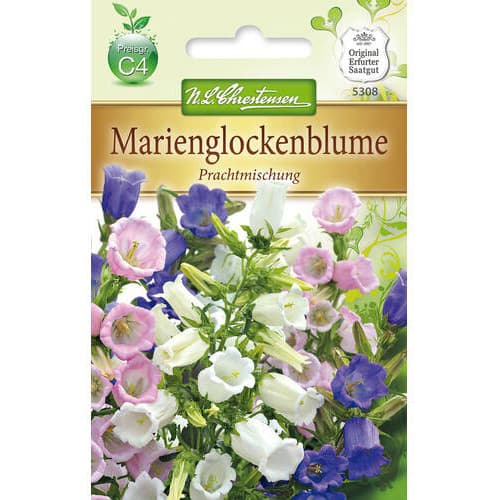 1 pac, Clopoțel (Campanula), mix multicolor - Semințe: Mod de ambalare: 1 pac