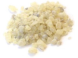 Damara 20g