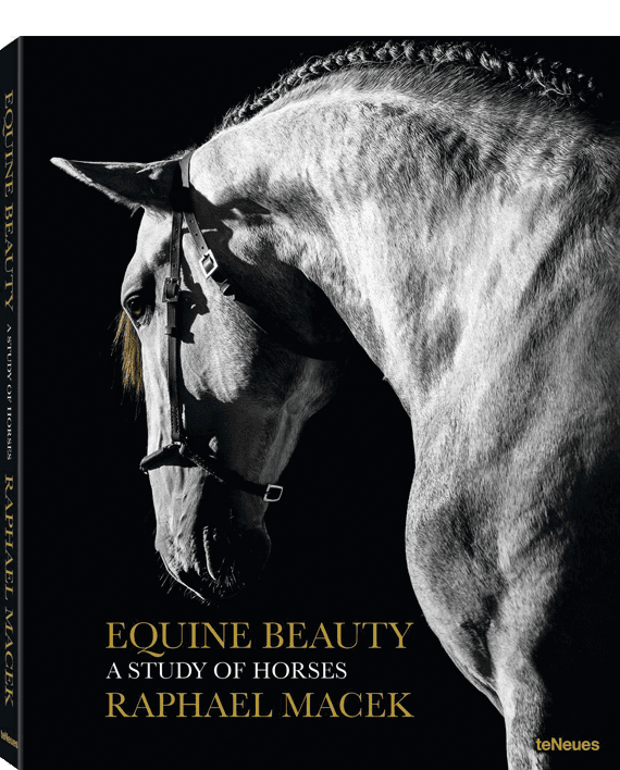 Equine Beauty. A Study of Horses