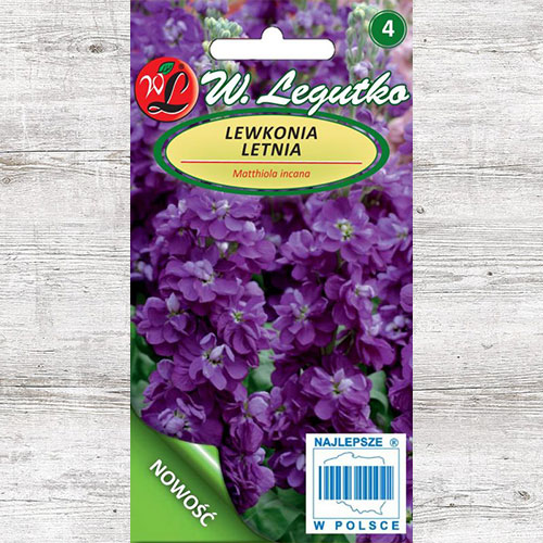 1 szt, Lewkonia letnia Excelsior fioletowa Legutko - Nasiona: Ilość w opakowaniu: 0.5 g