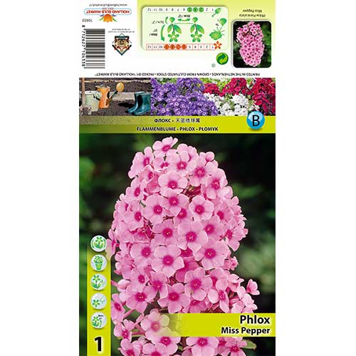 1 cib, Plaménka Miss Pepper - : Monžstvo balíkov: 1 cib