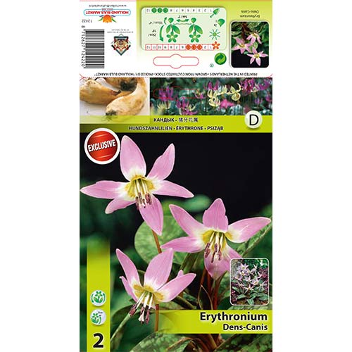 2 cib, Kandík Dens Canis - : Monžstvo balíkov: 2 cib
