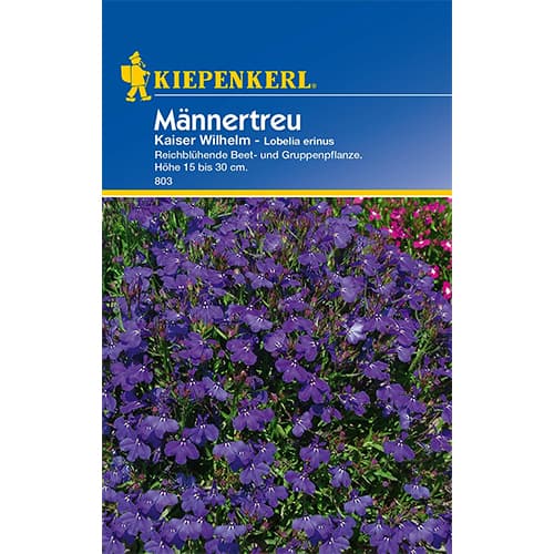 Lobelia Kaiser Wilhelm - Nasiona. Ilość w opakowaniu: 1 opak - GradinaMax