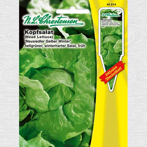 1 pac, Salată verde Yellow Winter - Semințe: Mod de ambalare: 1 pac