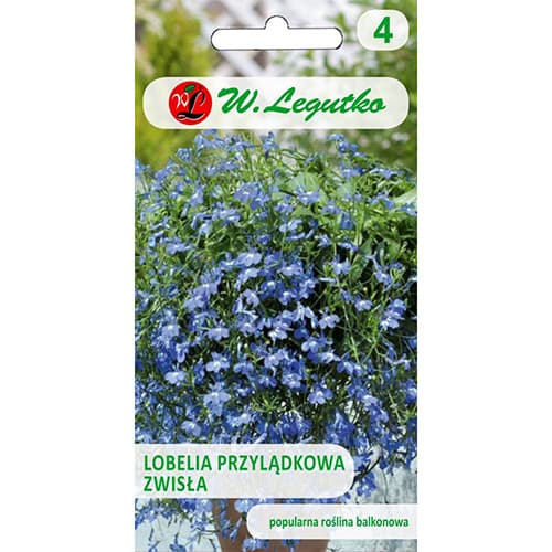 Lobelka modrá (Lobelka drobná) ovisnutá nebeská - : Monžstvo balíkov: 0.2 g
