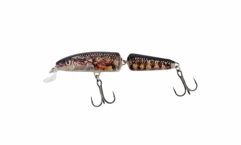 Wobler Salmo Fanatic Pływający 7cm Holo Sticklback