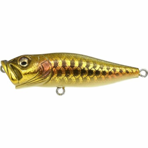 Megabass Wobler PopMax 78mm Dragon Fish G