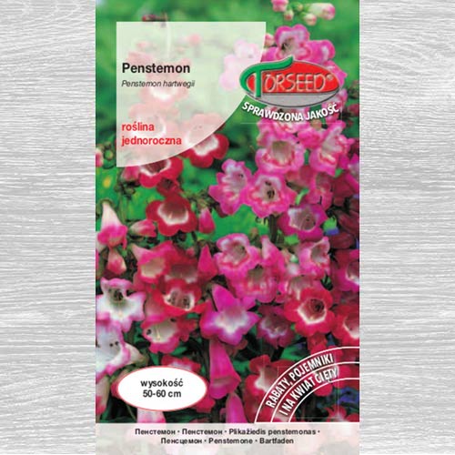 1 szt, Penstemon, mieszanka - Nasiona: Ilość w opakowaniu: 0.2 g