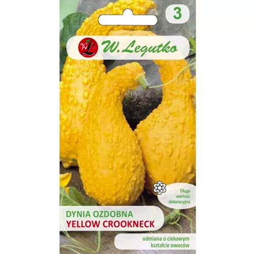 1 szt, Dynia ozdobna Yellow Croockneck - Nasiona: Ilość w opakowaniu: 1 g