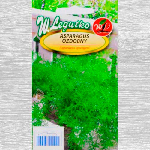 1 szt, Asparagus ozdobny - Nasiona: Ilość w opakowaniu: 0.5 g