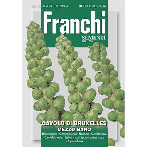 1 szt, Kapusta brukselska de Bruxelles Mezzo Nano Morami - Nasiona: Ilość w opakowaniu: 6 g