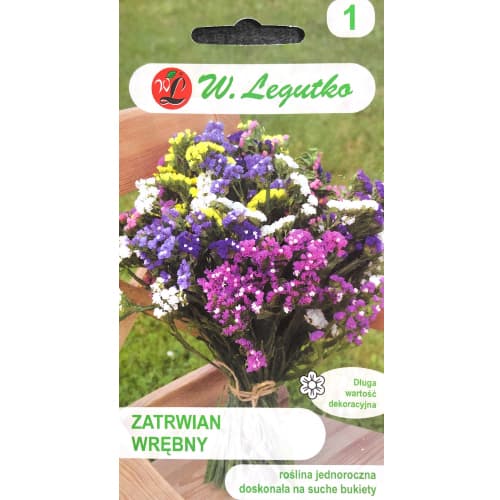 1 pac, Limonium sinuatum (Sărăturică) mix multicolor Legutko - Semințe: Mod de ambalare: 0.3 g
