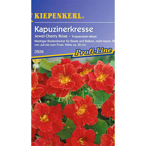 1 szt, Kapuzinerkresse Jewel Cherry Rose - Samen: Ilość w opakowaniu: 1 Stück