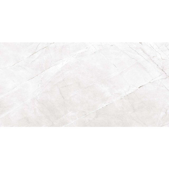 Gres szkliwiony ROYAL VALENCIA SILVER GREY polished 60x120 gat. I