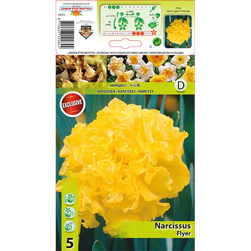 5 db, Nárcisz Flyer - Hagymák: Mod de ambalare: 5 db