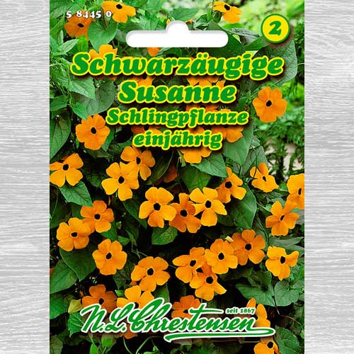 1 szt, Feketeszem (Thunbergia) Susanne - Magok: Mod de ambalare: 1 db